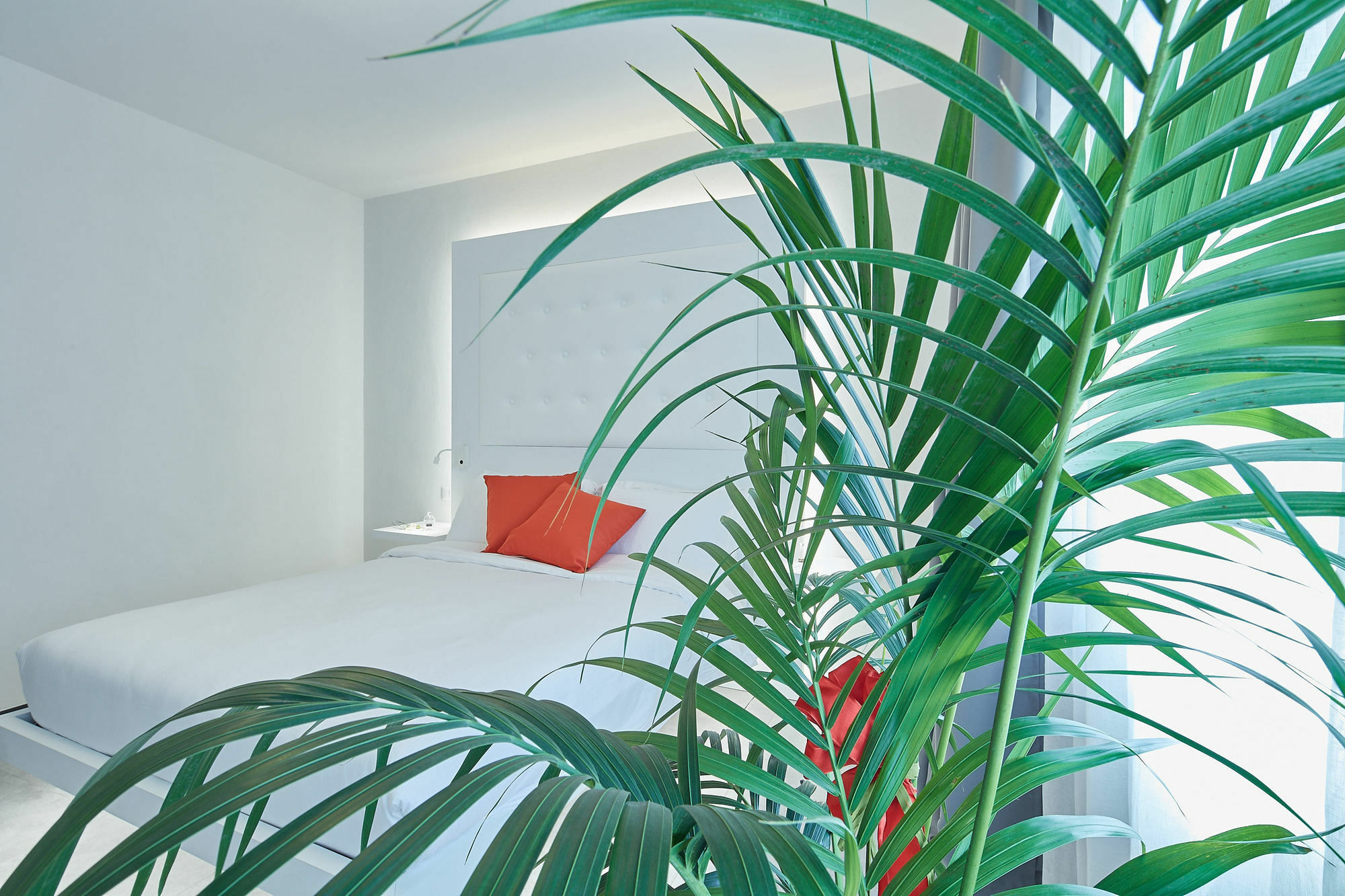 B&B Via Roma 25 Arezzo Bagian luar foto